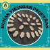 Juego de Runas Vikingas Pequeñas